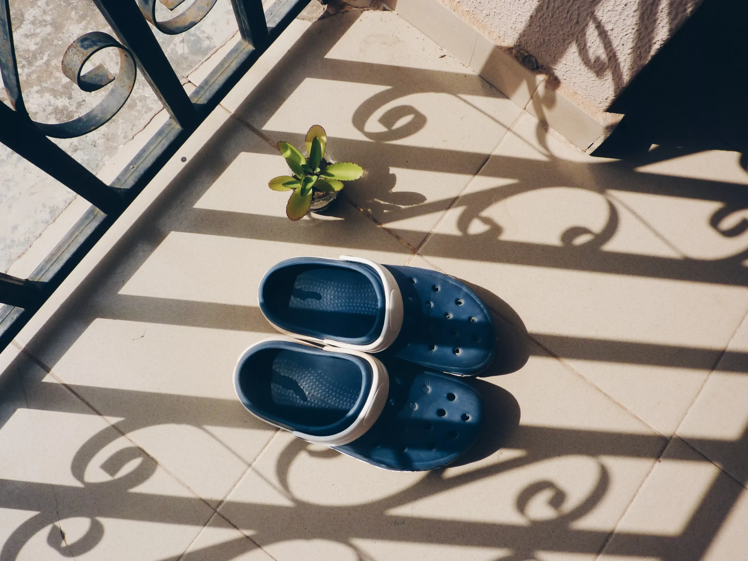 crocs and plant with shadows of railing over them